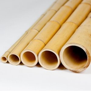 What is bamboo powde?