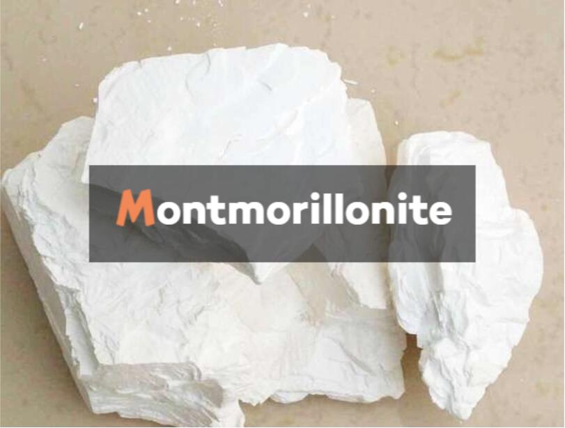 What is Montmorillonite?